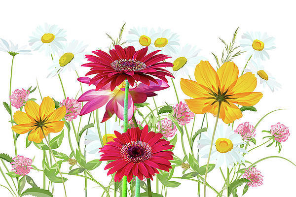 Цветы - оригинал