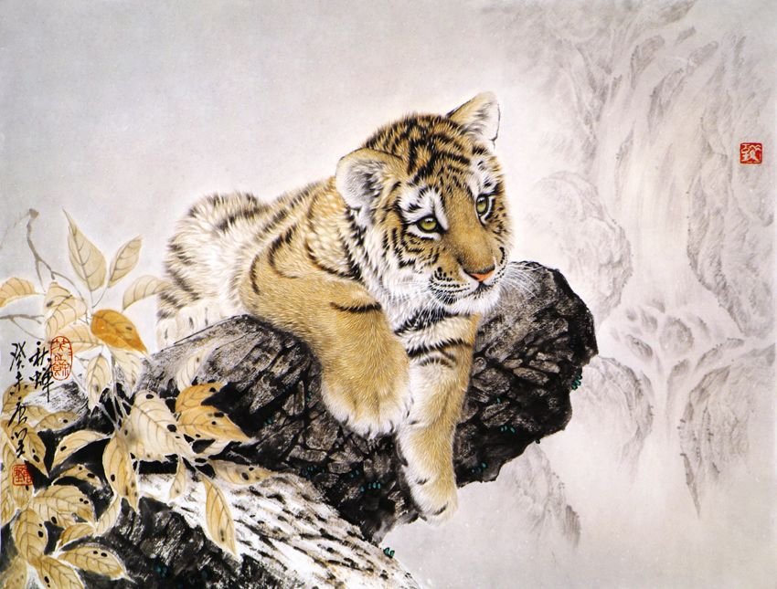 тигренок - тигр кошка - оригинал