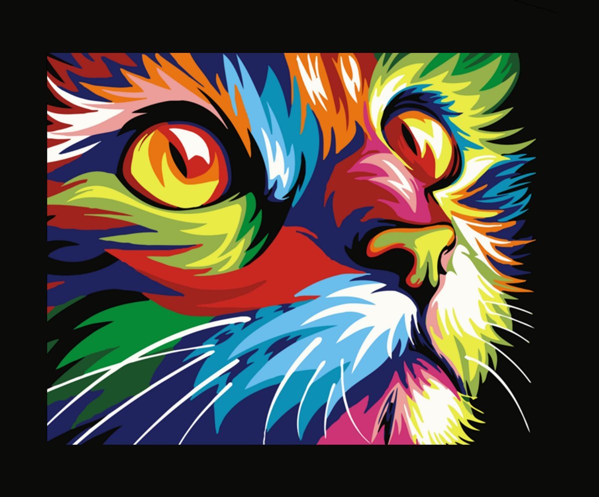 Кот-попугай, Радужный Кот Ваю Ромдони - ваю ромдони, радужный кот, кот-попугай - оригинал