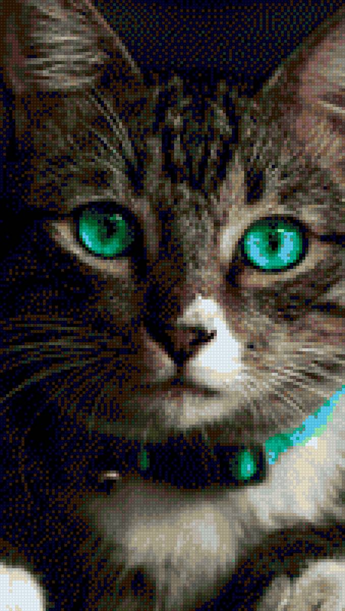 Кошка2 - животные, кошка, глаза - предпросмотр