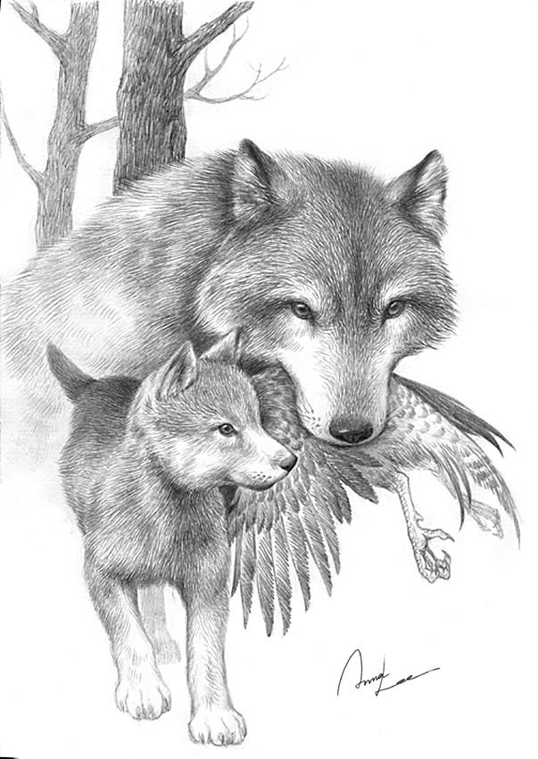 Волки с добычей - животные, волки, монохром - оригинал