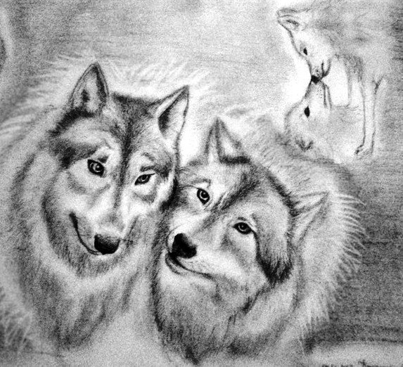 Волки 4 - монохром, животные, пара - оригинал