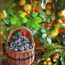 Схема вышивки «№2226996»