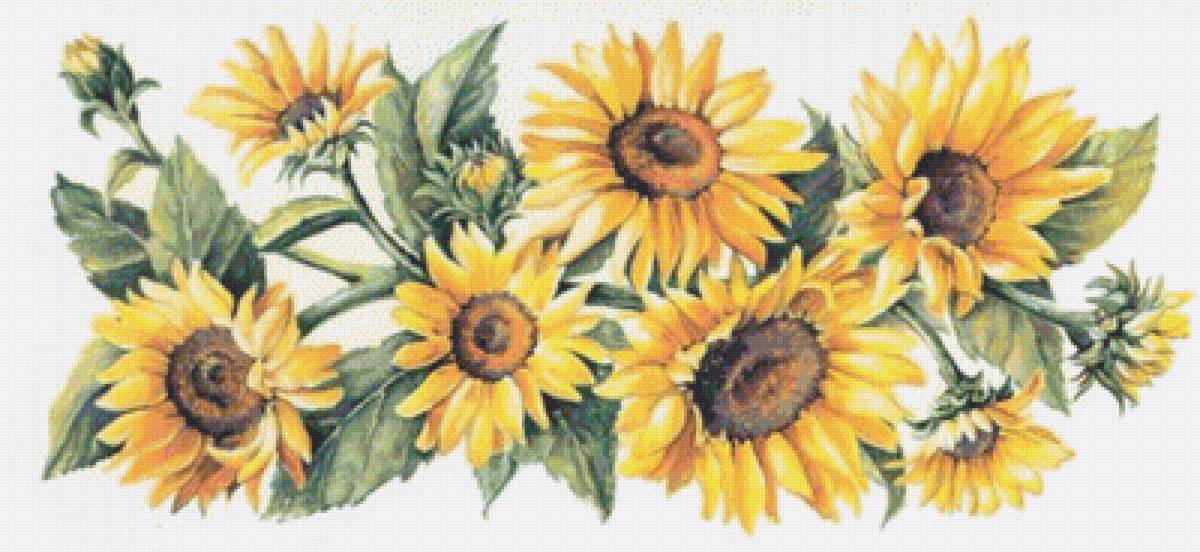 Girasoles - mary - предпросмотр