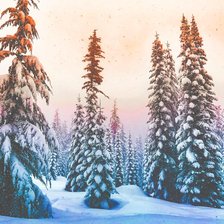 Схема вышивки «№2227537»