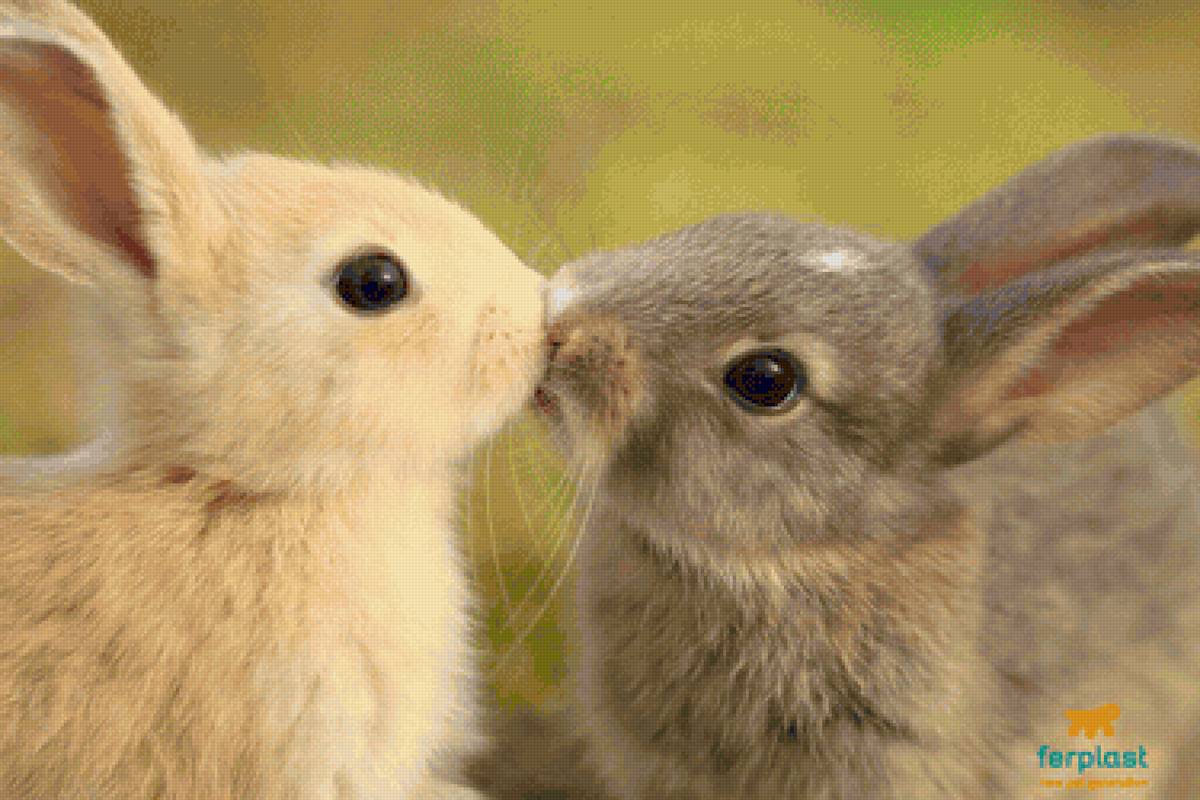 Зайки кролики - кролики - предпросмотр