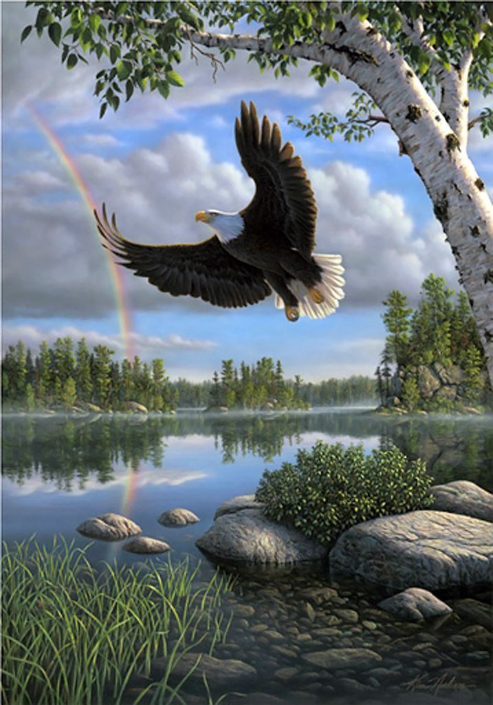 Орел над озером - полет, пейзаж, озеро, небо, птица, орел - оригинал