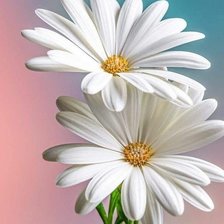 Схема вышивки «№2227832»