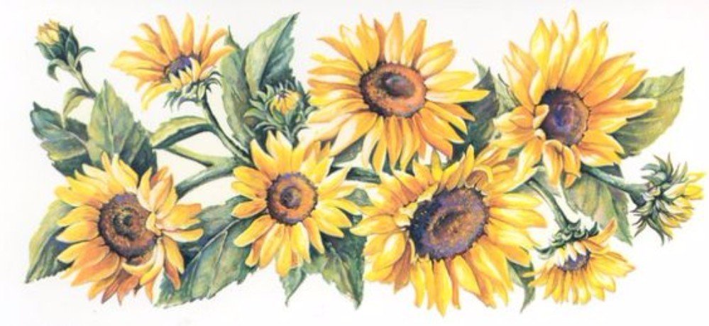 GIRASOLES - оригинал