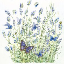 Схема вышивки «Цветы и бабочки»