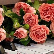 Схема вышивки «Лірична симфонія»