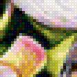 Предпросмотр схемы вышивки «Птица в цветах» (№2228757)