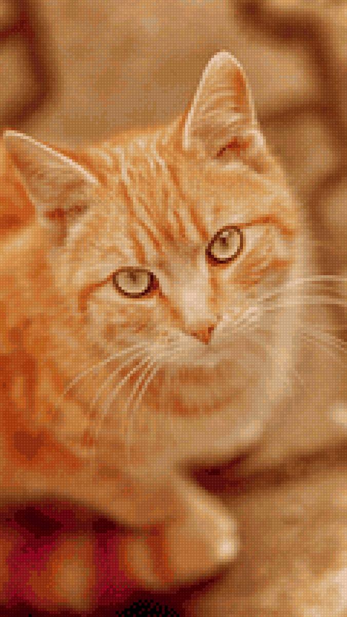 Кошка - рыжая, кошка - предпросмотр