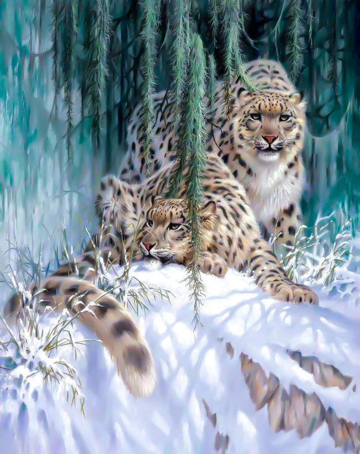 Ирбисы - снег, ирбис, лес - оригинал