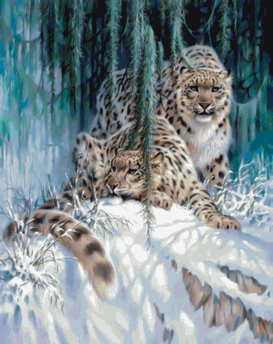 Ирбисы - снег, ирбис, лес - предпросмотр