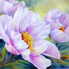 Схема вышивки «пионы3»