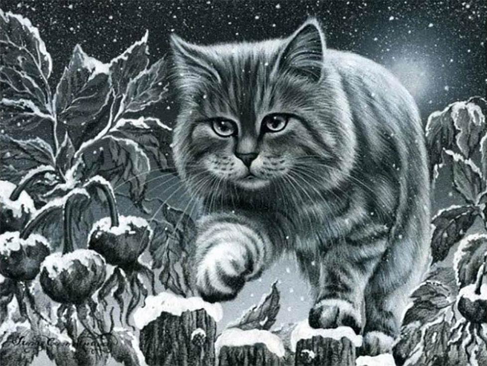 Коты И. Гармашовой - ночь, кот, картина - оригинал