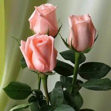 Схема вышивки «№2229151»