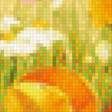 Предпросмотр схемы вышивки «Маковое поле» (№2229212)