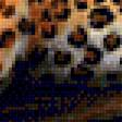 Предпросмотр схемы вышивки «леопард» (№2229370)