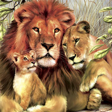 Схема вышивки «львинная семья»