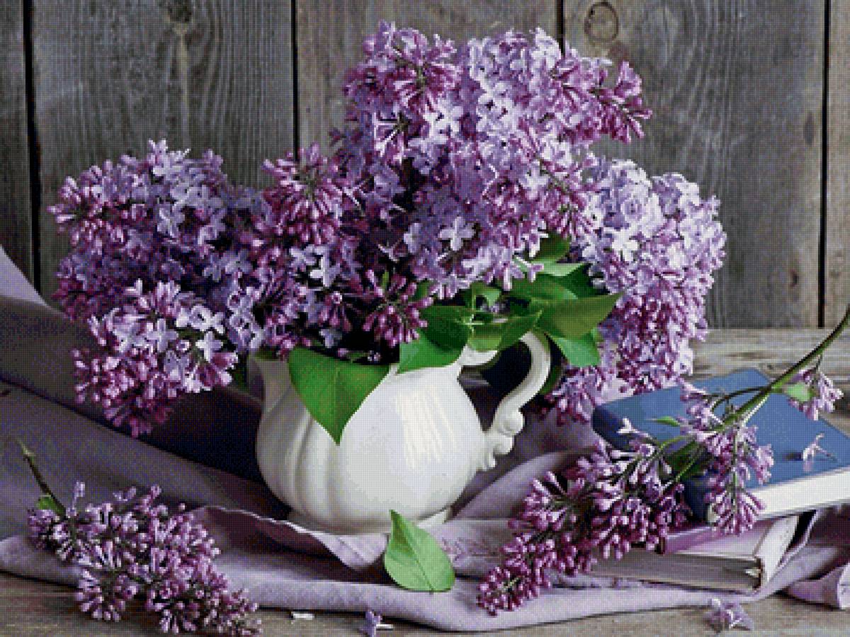 Сирень - предпросмотр