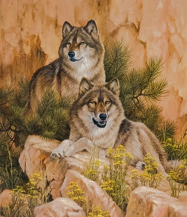 Majestic Wolf. - scenarys.animals. - оригинал