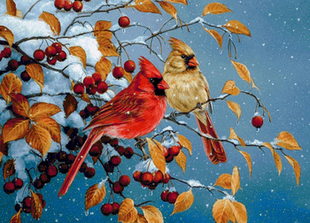 Cardinals. - rosemary millette painter.snowscapes.birds. - предпросмотр