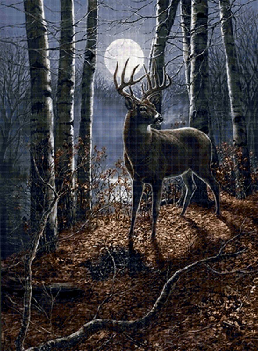 ОЛЕНЬ - предпросмотр