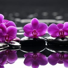 Схема вышивки «№2230150»