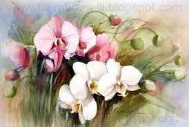 Архидея - оригинал