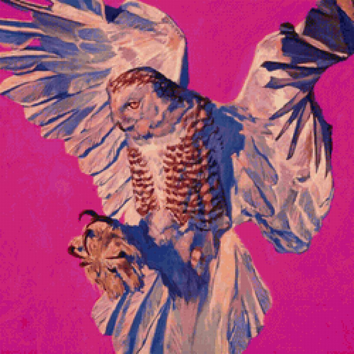 Сова - сова - предпросмотр