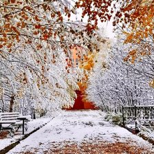 Схема вышивки «Поздняя осень»