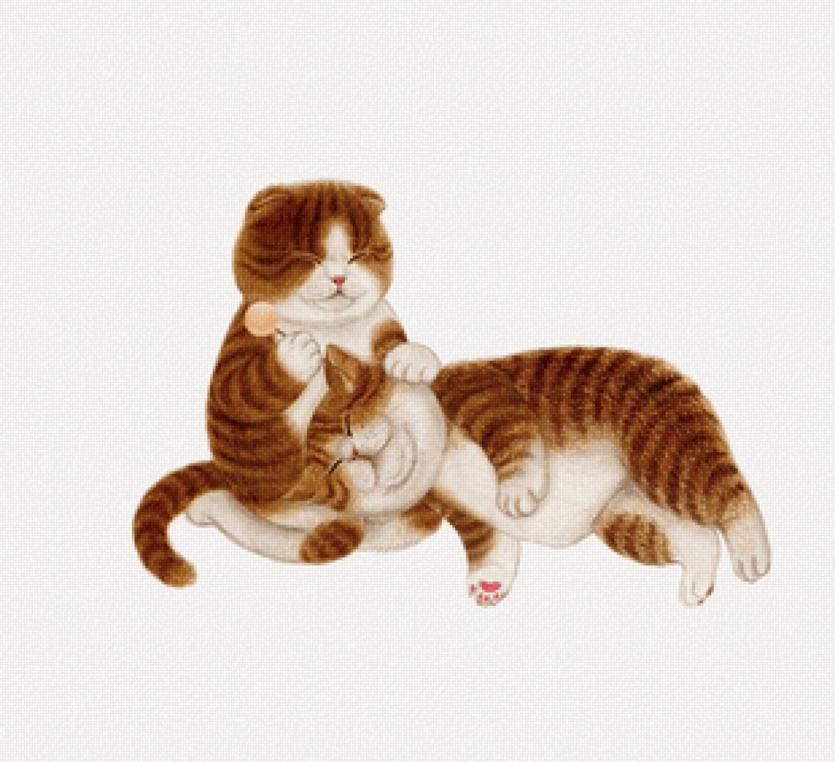 Друзья - кот, котята, животные, друзья - предпросмотр