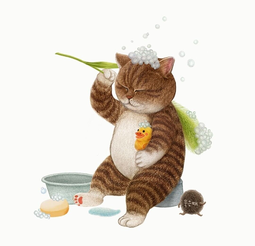 Водные процедуры - животные, кот, купание - оригинал