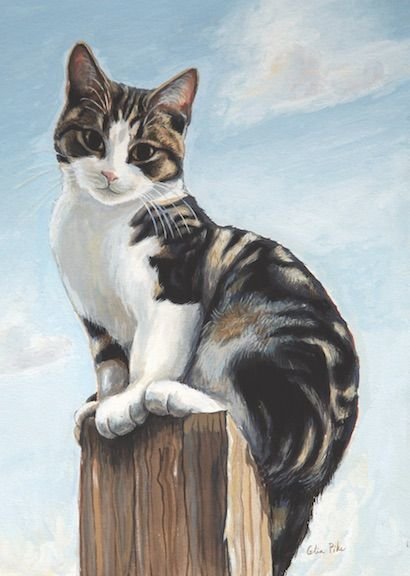 Gato. - animais. - оригинал