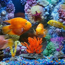 Схема вышивки «Рыбки»