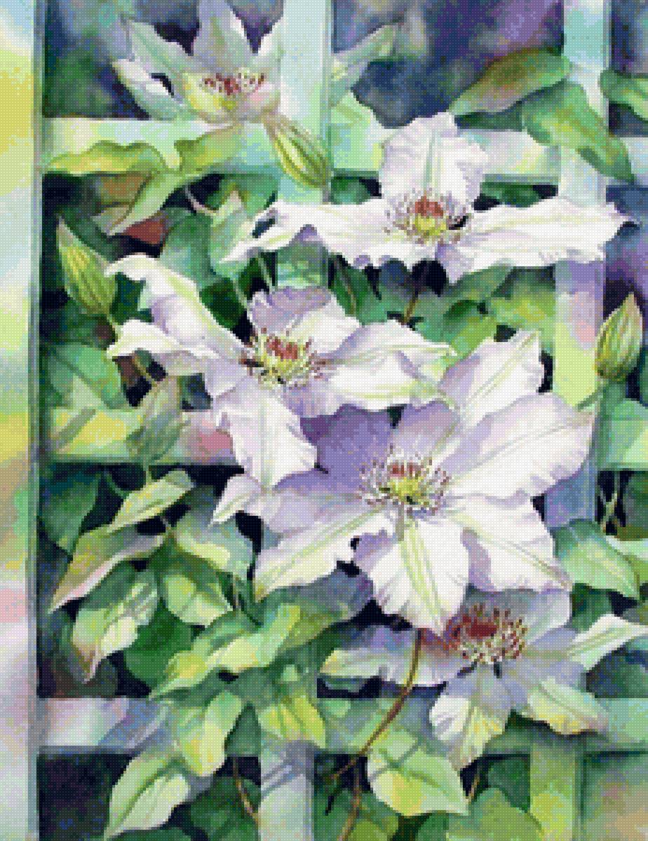 клематисы - клематисы, цветы, цветок - предпросмотр