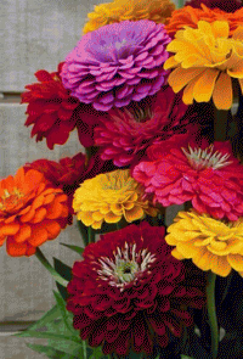 Цветы - предпросмотр