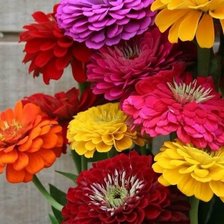 Схема вышивки «Цветы»