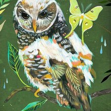 Схема вышивки «A coruja e a borboleta.»