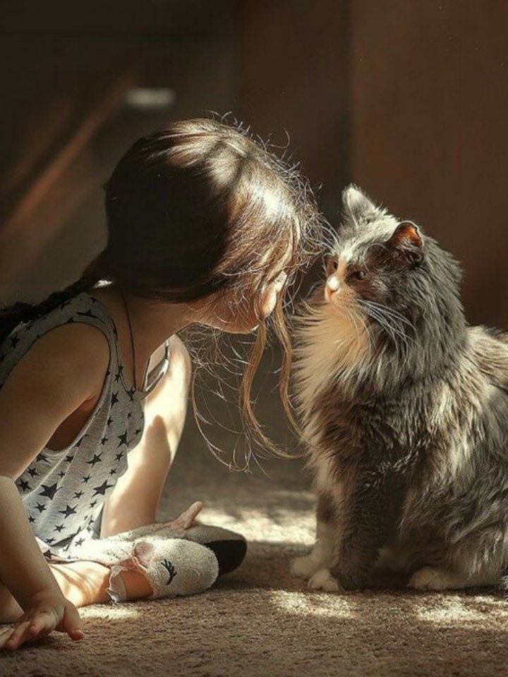 Девочка и кот - дети - оригинал