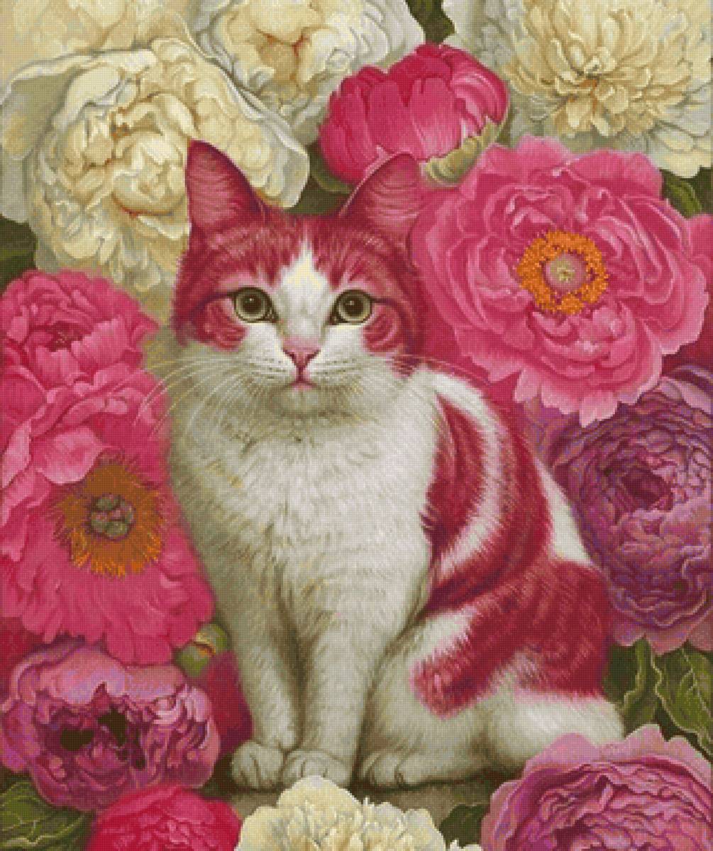 Gato com peônias. - animais.flores - предпросмотр