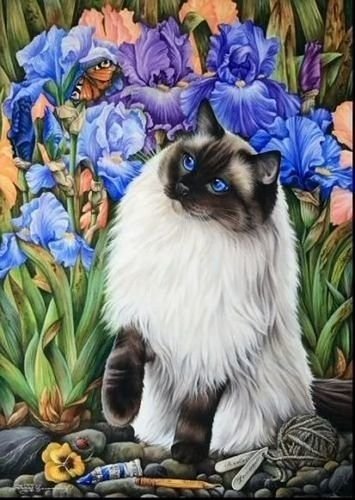 Котик в ирисах - кот, животное, цветы, ирисы - оригинал
