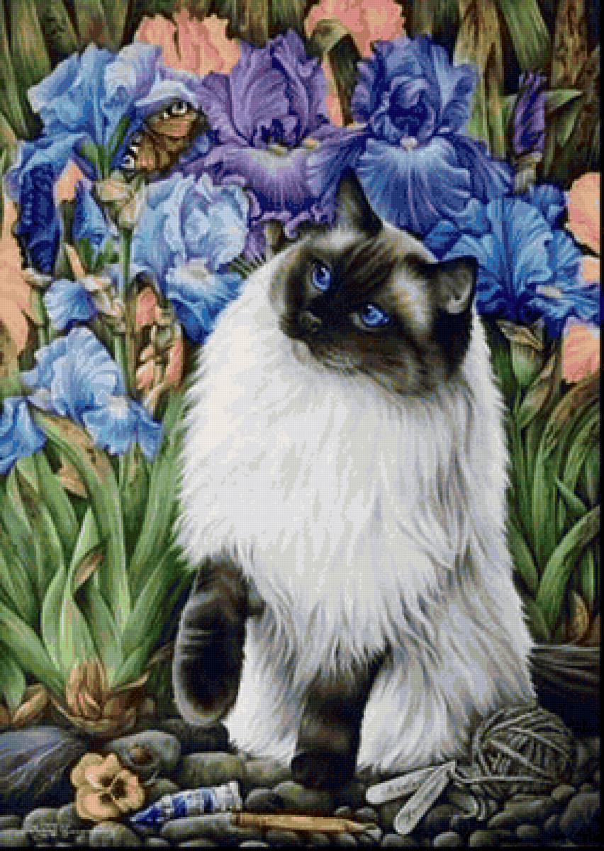 Котик в ирисах - ирисы, животное, кот, цветы - предпросмотр