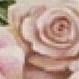 Предпросмотр схемы вышивки «rosas» (№2233156)