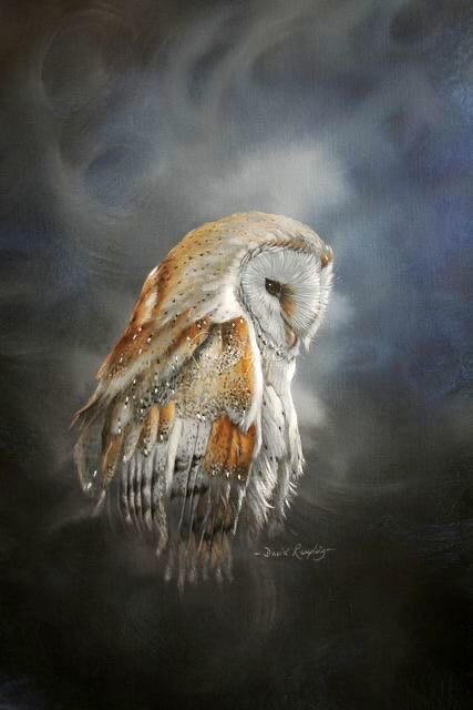 Сипуха - совы, птицы, животные - оригинал