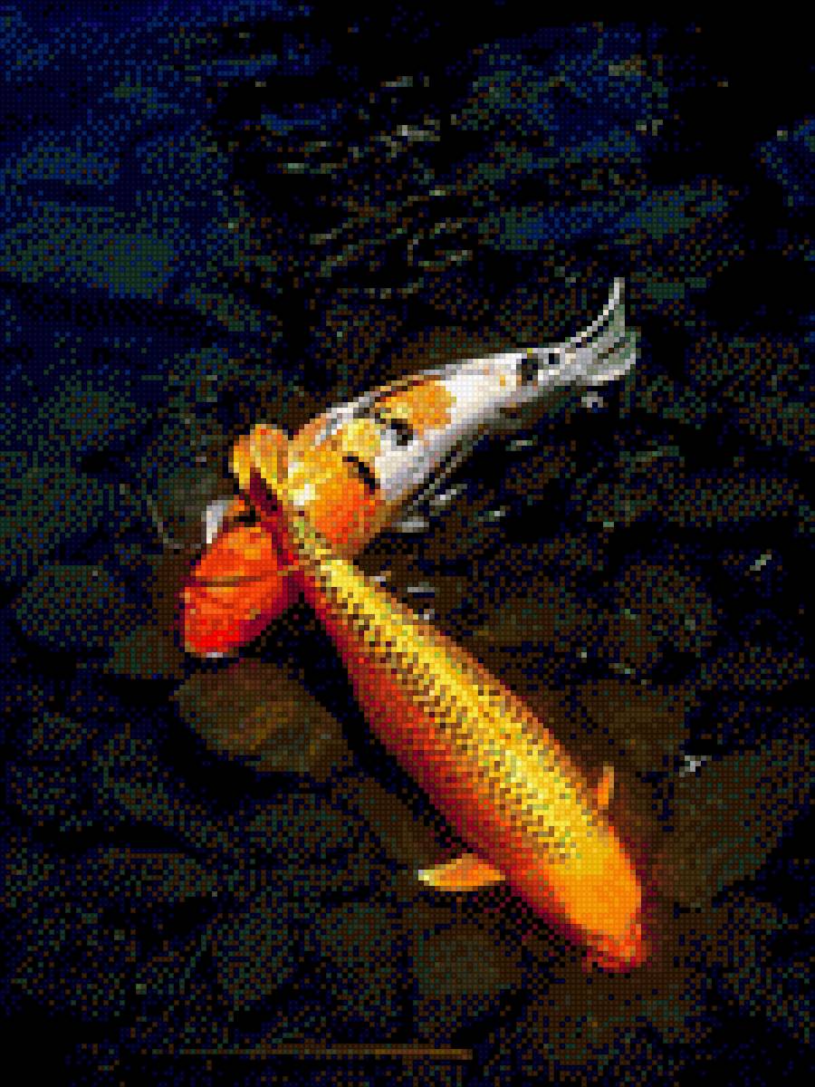 Two Koi Fish - fish - предпросмотр