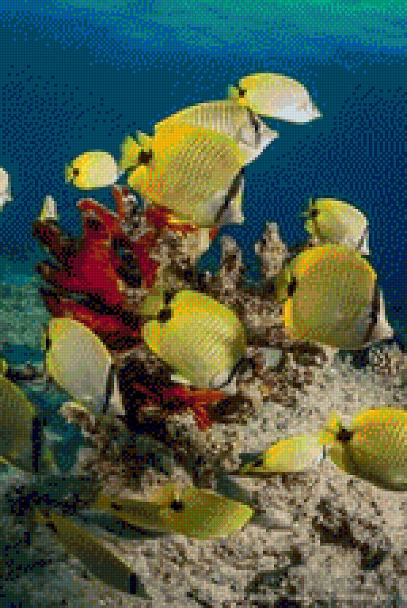 Under the Sea - fish - предпросмотр