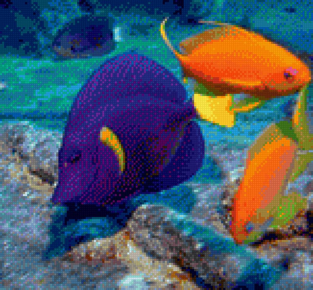 Colorful Fish - fish - предпросмотр